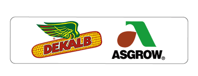 Asgrow Dekalb Use4